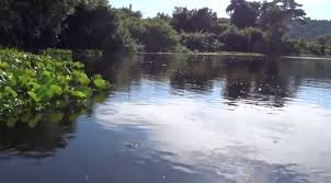 Check spelling or type a new query. Methane Bubbles Are Effect And Cause Of Rise In Temperature