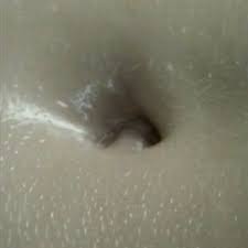 Bugs affect us in a variety of ways: Sabrina S Belly Button Sabsbellybutton Twitter