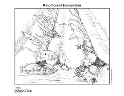 How rising temperatures suffocated 96 percent of sea life in earth's biggest extinction. Coloring Pages National Geographic Society