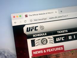 When Ufc And Cryptocurrency Met And What Happens Next Cryptonewsreview