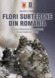 Magazine duty free de crăciun. Complexul Muzeal De StiinÅ£ele Naturii RÄsvan AngheluÅ£Ä GalaÅ£i Posts Facebook