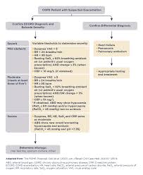 Image result for COPD Exacerbation Decision Tool