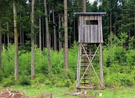 Maybe you would like to learn more about one of these? 10 Best Hunting Blinds With Ground Tower And Tree Stand Options