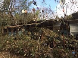 パカパカタウン - はてなブログ