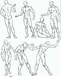 Pin By Rena Bear On Educational Figure Drawing Reference Human Figure Drawing Figure Drawing