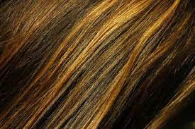 How To Highlight Your Hair With A Cap And Then Lowlight It With A Cap Diy Highlights Hair Coffee Hair Dye Highlighting Hair At Home