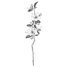 Maybe you would like to learn more about one of these? Apple Blossoms Third Photo Is Just An Example Where Would You Place It Freehand Appleb Apple Blossom Tattoos Body Art Tattoos Blossom Tattoo