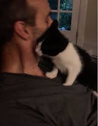 On the very top right of the website. Craigslist Pets Reading Off 68 Www Usushimd Com