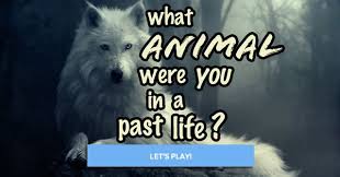 What Animal Were You In A Past Life What Animal Are You Whats Your Spirit Animal Past Life