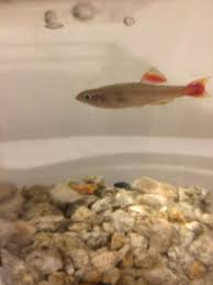 九州アクア日和