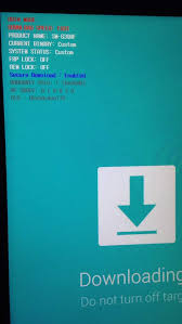 Once prompted for code enter . Sm G390f Galaxy Xcover 4 Unlock Gsm Forum