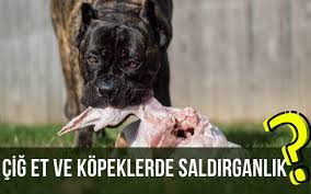 Petcevap Com Www Petcevap Com Cig Et Ile Beslenen Facebook