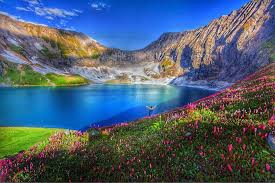 Image result for dawarian pic