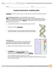 Using the equation ax + b = cx + d, let the cards represent the values of a, b, c, and d, in order, as they are drawn. Activity B Dna Replication Get The Gizmo Ready Be Sure The Hint Reads The Dna Course Hero