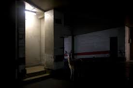Resultado de imagen de el animal invisible mafa alborés