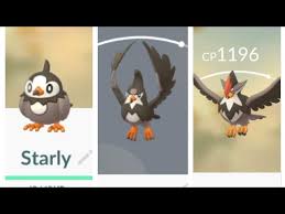 Starly Family Shiny Comparison, Coming During July'S Community Day :  R/Thesilphroad