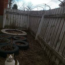 Here are the ways on how to train your cat to use a leash with a harness: How To Keep Cats In Your Yard Confluence By Andrew Kurjata Andrewkurjata Ca