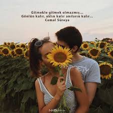 Teklif sozleri teklif sozleri kisa teklif evlilik teklifleri kitap alintilari. Kisa Ama Buyuleyici Sozler 2021 Sevgiliye Guzel Sozler