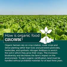 How Is Organic Food Grown? | Ota