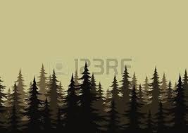 Arriere Plan Transparent Paysage Foret De Nuit Avec Sapins Silhouettes Vecteur Silhouette Foret Silhouette Arbre Dessin Silhouette