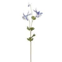 Pin On Columbines