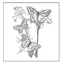 70 butterflies coloring pages to print out for kids. Butterfly Coloring Pages Coloring Rocks