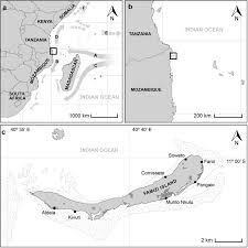 > apartments and cottages in cabo delgado province. Vamizi Island Its Beaches And Its Location In The Quirimbas Download Scientific Diagram