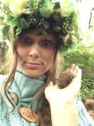 Imperial moth identification in Northern Illinois