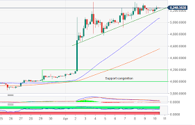 More news for btc to usd » Pin On Trader