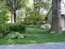Maybe you would like to learn more about one of these? Cover Your Ground With Plants Part 2 East Texas Gardening
