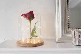 Here's a diy tutorial on how to make your very own enchanted rose from the beauty & the beast movie. Diy Enchanted Rose Bell Jar Lights4fun Co Uk