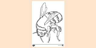 We did not find results for: Free Bee Colouring Sheet Colouring Sheets