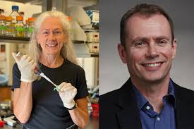 W&M's Christopher 'Chuck' Bailey elected president of the Geological  Society of America