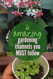 Ever wondered how many different ways a garden can spin? 6 Best Home Gardening Youtube Channels From India That You Must Follow