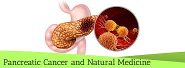 Symptoms may not appear until the cancer is large enough to affect nearby organs or has spread. Pancreatic Cancer Natural Treatments Herbs