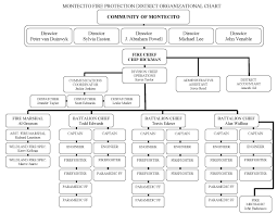 49 Clean Department Organizational Chart Template