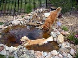 By kiersten willis, the atlanta journal. Diy Dog Pond For Those Hot Summer Days Dog Pond Dog Pool Dog Playground