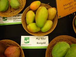 Rich in vitamin a and c. Rosigold Wikipedia