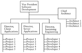 Sample Organizational Structures Software Development