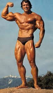 Arnold schwarzenegger joins usc political reform class on zoom to discuss voting access. Arnold Schwarzenegger 6 Rules For Success Inspiration Tatyana Zen Art