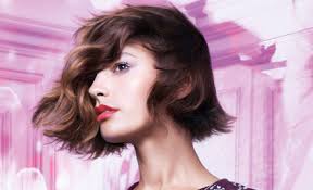 Zee Bee Dee • GrabOne NZ