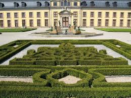 Lebensbaum Mecki Thuja Occidentalis Mecki Gunstig Online Kaufen Thuja Lebensbaum Baum