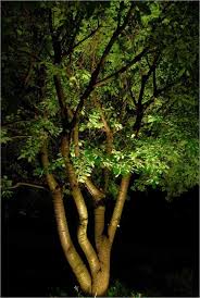 How To Use Landscape Lighting Techniques