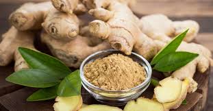 When feeding your rabbit fresh foods you have to watch for the sugar and starch content. Ginger For Diarrhea Research Dosage And Side Effects