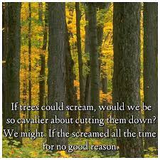 Pin On Funny Quotes