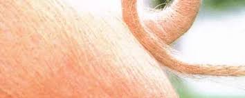 La coda di bue necessita di una cottura molto lenta e di un calore costante così che la carne diventi molto tenera, al punto di staccarsi dall'osso. Tutte Le Fiabe Che Parlano Di Maiale Ti Racconto Una Fiaba