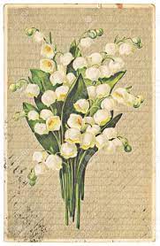 52 Flea Lily Of The Valley Flowers Lily Of The Valley May Birth Flowers