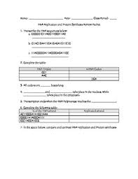 This is the biochemistry questions and answers section on protein synthesis with explanation for various interview, competitive examination and entrance in this section you can learn and practice biochemistry questions based on protein synthesis and improve your skills in order to face the. Dna Protein Synthesis Review Packet With Answer Key Tpt