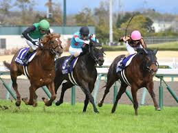 渥美特別 中京 人気のジョディーが最内から抜け出す 競馬ニュース Netkeiba Com