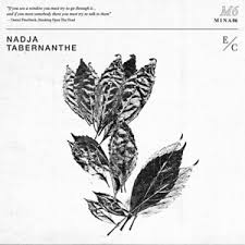 Image result for Tabernanthe